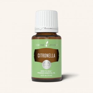Citronella 香茅